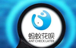 爆料花呗网红视频大全,揭秘花呗网红背后的秘密与现象 第2张 爆料花呗网红视频大全,揭秘花呗网红背后的秘密与现象 第2张